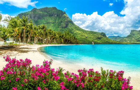 Le Morne Beach Jigsaw Puzzle