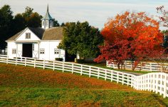 Lexington Barn