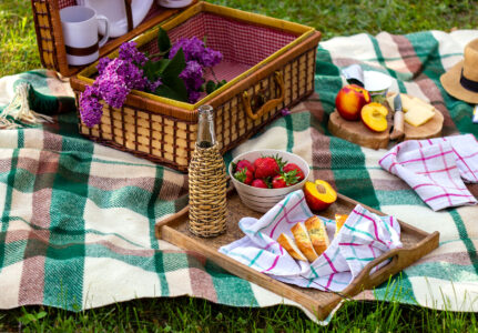 Light Picnic Jigsaw Puzzle