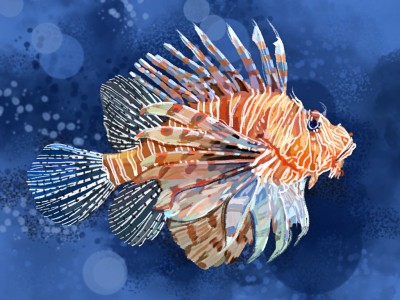 Lion Fish Jigsaw Puzzle