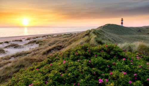 List East Lighthouse Jigsaw Puzzle