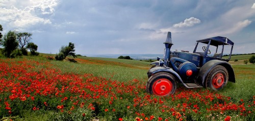 Little Blue Tractor Jigsaw Puzzle