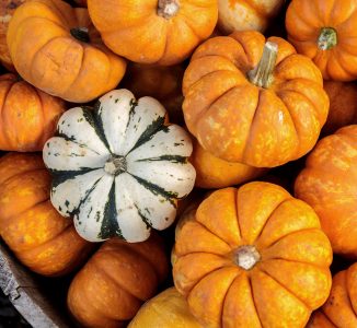 Little Gourds Jigsaw Puzzle