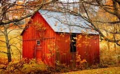 Little Red Barn