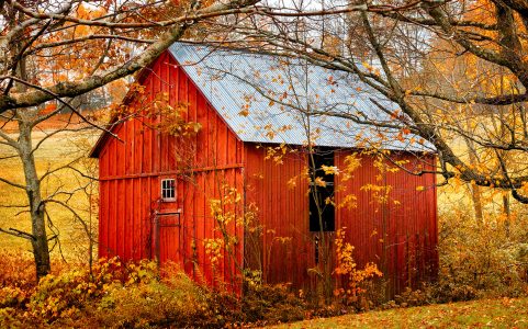 Little Red Barn Jigsaw Puzzle