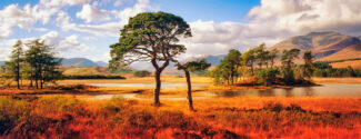 Loch Tulla