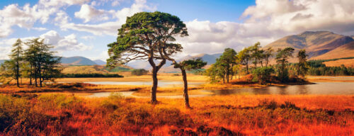 Loch Tulla Jigsaw Puzzle