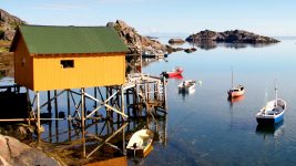 Lofoten Harbor