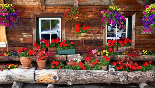 Log Home Flowers Jigsaw Puzzle