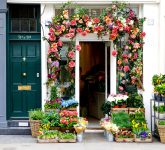 London Florist Shop