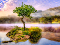Lone Tree Island