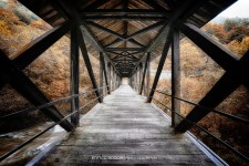 Long Wood Bridge