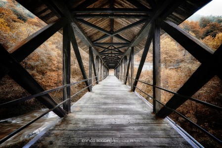 Long Wood Bridge Jigsaw Puzzle