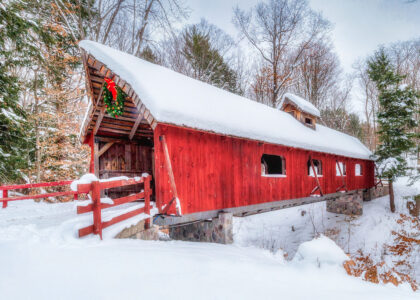 Loon Song Bridge Jigsaw Puzzle