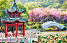 Lotus Garden Bridge