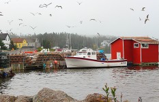 Louisbourg Docks