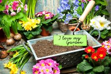 “Love My Garden”