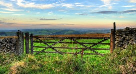 Macclesfield Forest