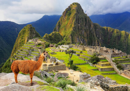 Machu Picchu Llama Jigsaw Puzzle