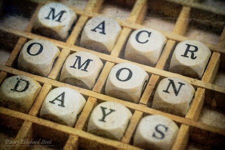 Macro Mondays Jigsaw Puzzle