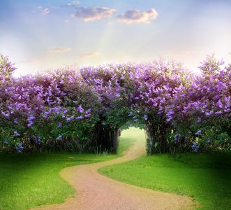 Magic Path Jigsaw Puzzle