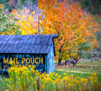 Mail Pouch Tobacco Barn Jigsaw Puzzle