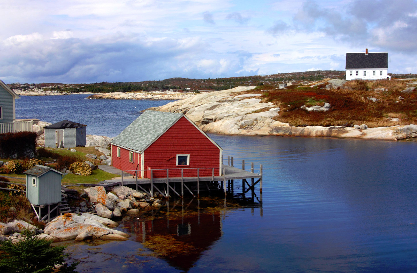 Maine Cove main image 0