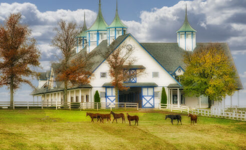 Manchester Barn Jigsaw Puzzle