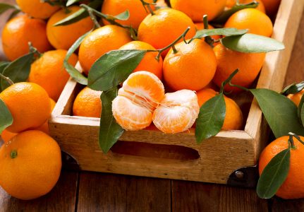 Mandarin Oranges Jigsaw Puzzle