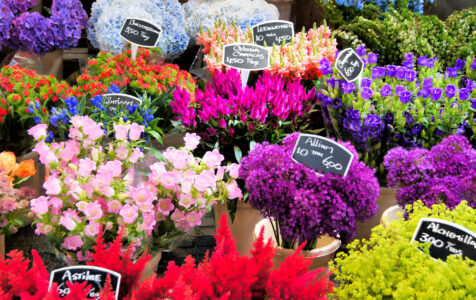 Market Flowers Jigsaw Puzzle