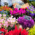 Market Flowers Jigsaw Puzzle