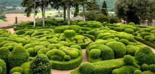 Marqueyssac Gardens