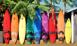 Maui Surfboards