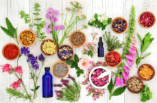 Medicinal Herbs