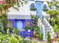 Mediterranean Flower Display