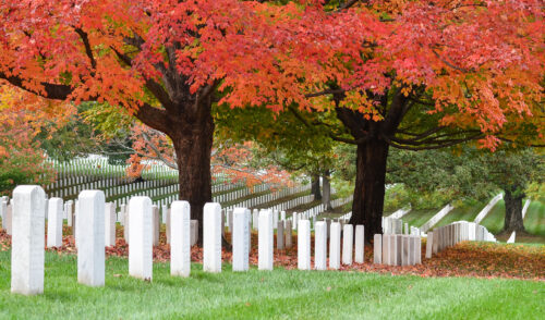 Memorial Day 2021 Jigsaw Puzzle