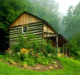 Metro Park Cabin