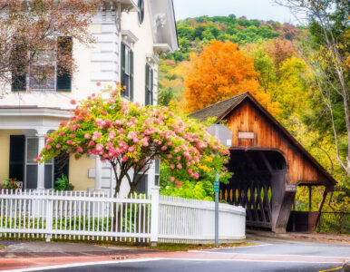 Middle Covered Bridge Jigsaw Puzzle