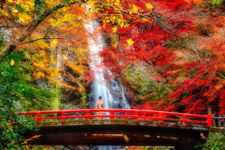 Minoh Waterfall Jigsaw Puzzle