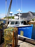 Miss Peggy’s Cove