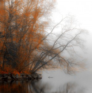 Misty Bank Jigsaw Puzzle