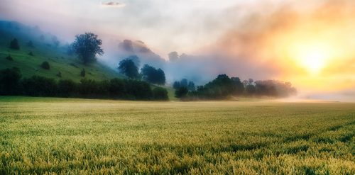 Misty Sunrise Jigsaw Puzzle