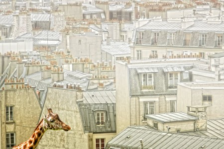 Molly in Paris Jigsaw Puzzle