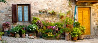 Montefioralle Flowers