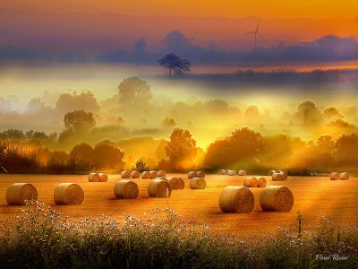 Morning Bales Jigsaw Puzzle