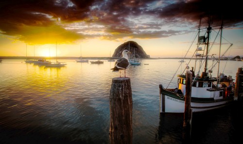 Morro Bay Jigsaw Puzzle