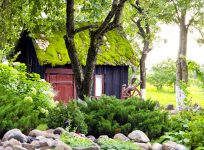 Moss Roof Shed