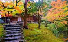 Moss Temple