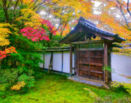 Moss Temple Gate