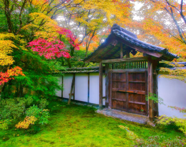 Moss Temple Gate Jigsaw Puzzle